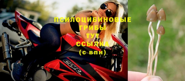 бошки Белокуриха