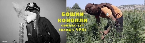 бошки Белокуриха