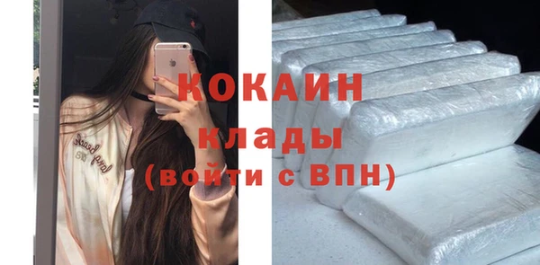 бошки Белокуриха
