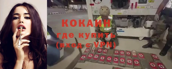 spice Беломорск