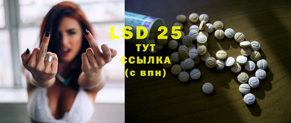 бошки Белокуриха
