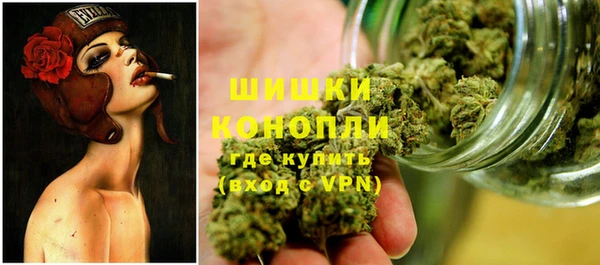 spice Беломорск