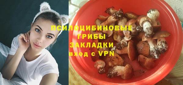 spice Беломорск